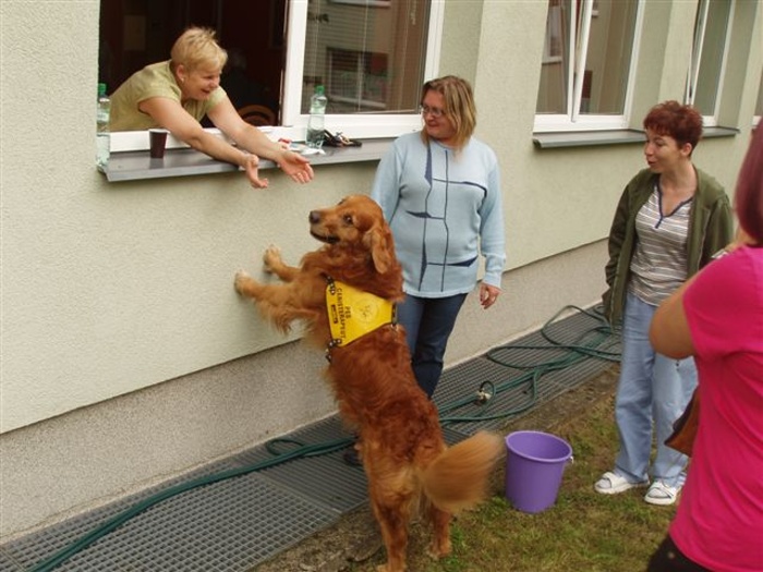 Kliknutím na fotografii zavřete okno